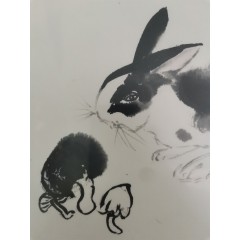 金熙洺国画写意兔子小品横《兔》